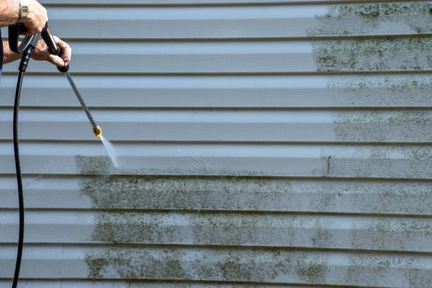 Best Yard Waste Removal  in Waipio, HI